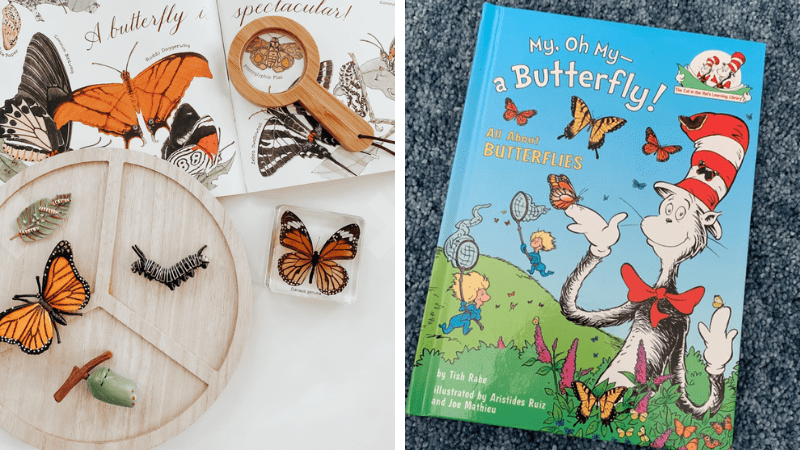  16 najboljih knjiga o leptirima za djecu