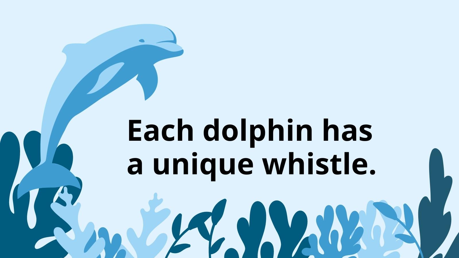  Fakty o delfínoch pre deti na vyučovaní